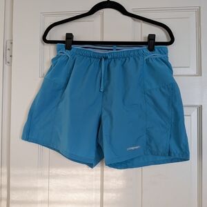 Patagonia Blue Athletic Shorts